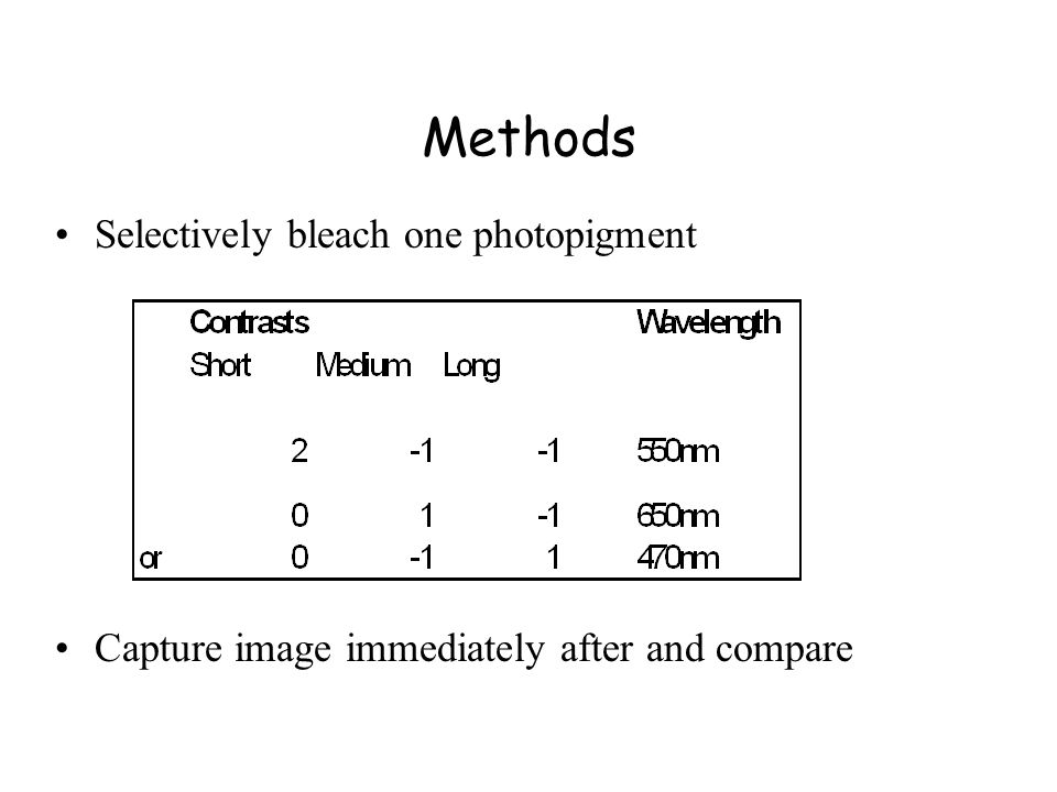 Methods Selectively bleach one photopigment Capture image immediately after and compare