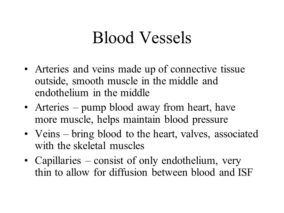 Blood Vessels Arteries and veins made up of connective tissue outside, smooth muscle in the middle and endothelium in the middle Arteries – pump blood away from heart, have more muscle, helps maintain blood pressure Veins – bring blood to the heart, valves, associated with the skeletal muscles Capillaries – consist of only endothelium, very thin to allow for diffusion between blood and ISF
