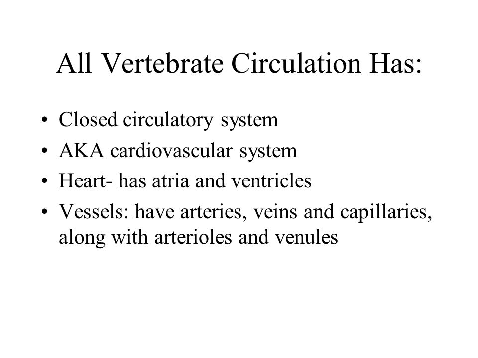 All Vertebrate Circulation Has: Closed circulatory system AKA cardiovascular system Heart- has atria and ventricles Vessels: have arteries, veins and capillaries, along with arterioles and venules