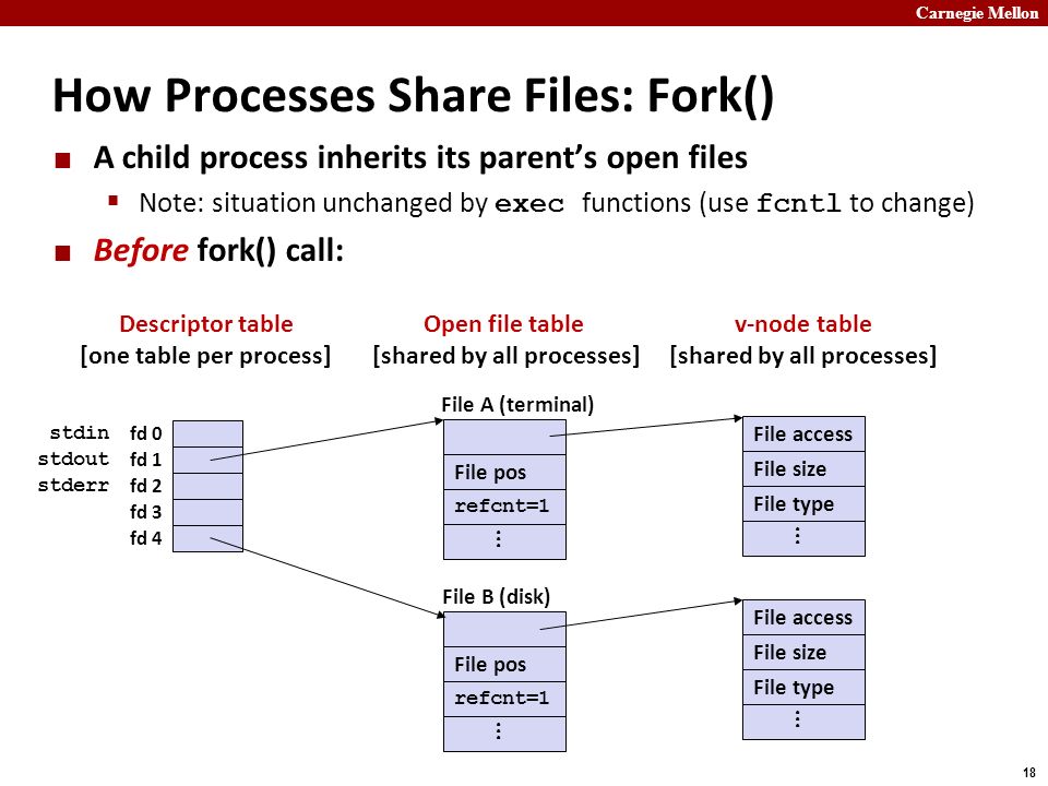 Carnegie Mellon 18 How Processes Share Files: Fork() A child process inherits its parent’s open files  Note: situation unchanged by exec functions (use fcntl to change) Before fork() call: fd 0 fd 1 fd 2 fd 3 fd 4 Descriptor table [one table per process] Open file table [shared by all processes] v-node table [shared by all processes] File pos refcnt=1...