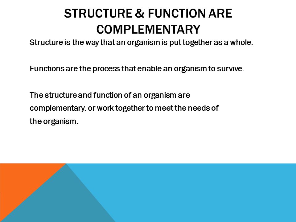 STRUCTURE & FUNCTION ARE COMPLEMENTARY Structure is the way that an organism is put together as a whole.