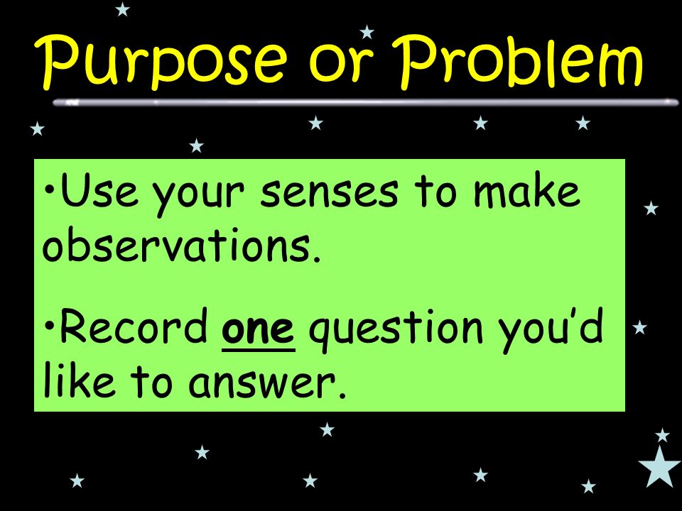 Use your senses to make observations. Record one question you’d like to answer.