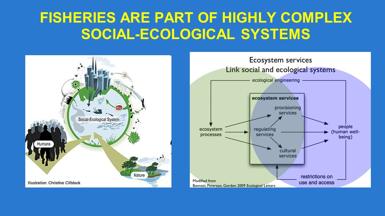 FISHERIES ARE PART OF HIGHLY COMPLEX SOCIAL-ECOLOGICAL SYSTEMS