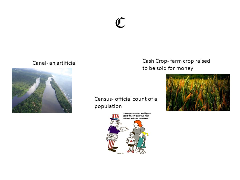 C Canal- an artificial waterway Cash Crop- farm crop raised to be sold for money Census- official count of a population
