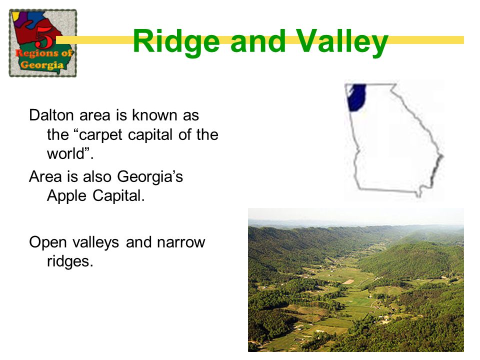 SS8G1b Describe the five geographic regions of Georgia; include the Blue  Ridge Mountains, Valley and Ridge, Appalachian Plateau, Piedmont, and  Coastal. - ppt download