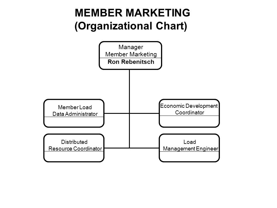 General Manager Organizational Chart
