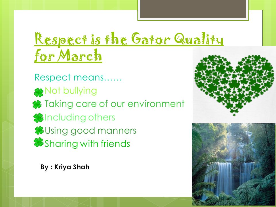 respect for the environment means