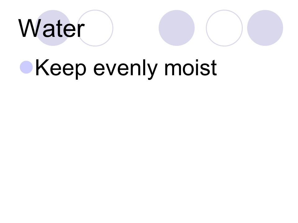 Water Keep evenly moist