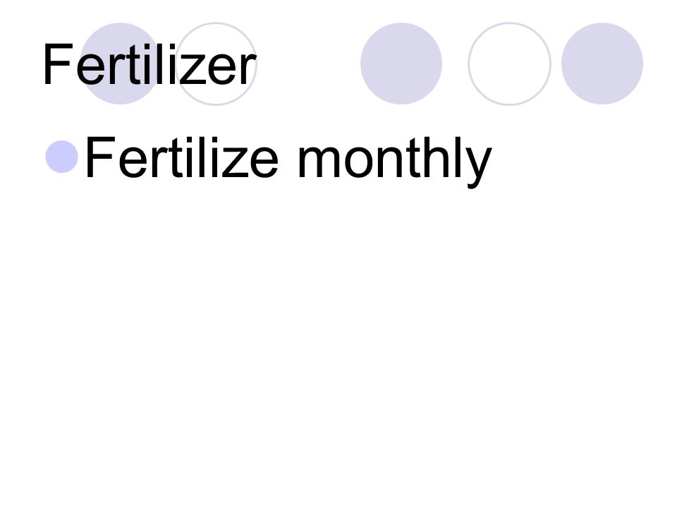 Fertilizer Fertilize monthly