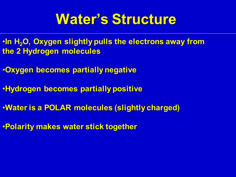 Water’s Structure In H 2 O, Oxygen slightly pulls the electrons away from the 2 Hydrogen moleculesIn H 2 O, Oxygen slightly pulls the electrons away from the 2 Hydrogen molecules Oxygen becomes partially negativeOxygen becomes partially negative Hydrogen becomes partially positiveHydrogen becomes partially positive Water is a POLAR molecules (slightly charged)Water is a POLAR molecules (slightly charged) Polarity makes water stick togetherPolarity makes water stick together