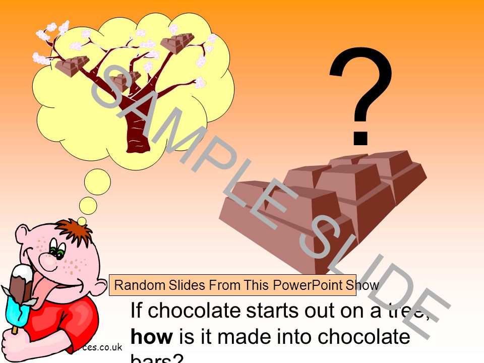 Have you ever wondered where chocolate comes from.