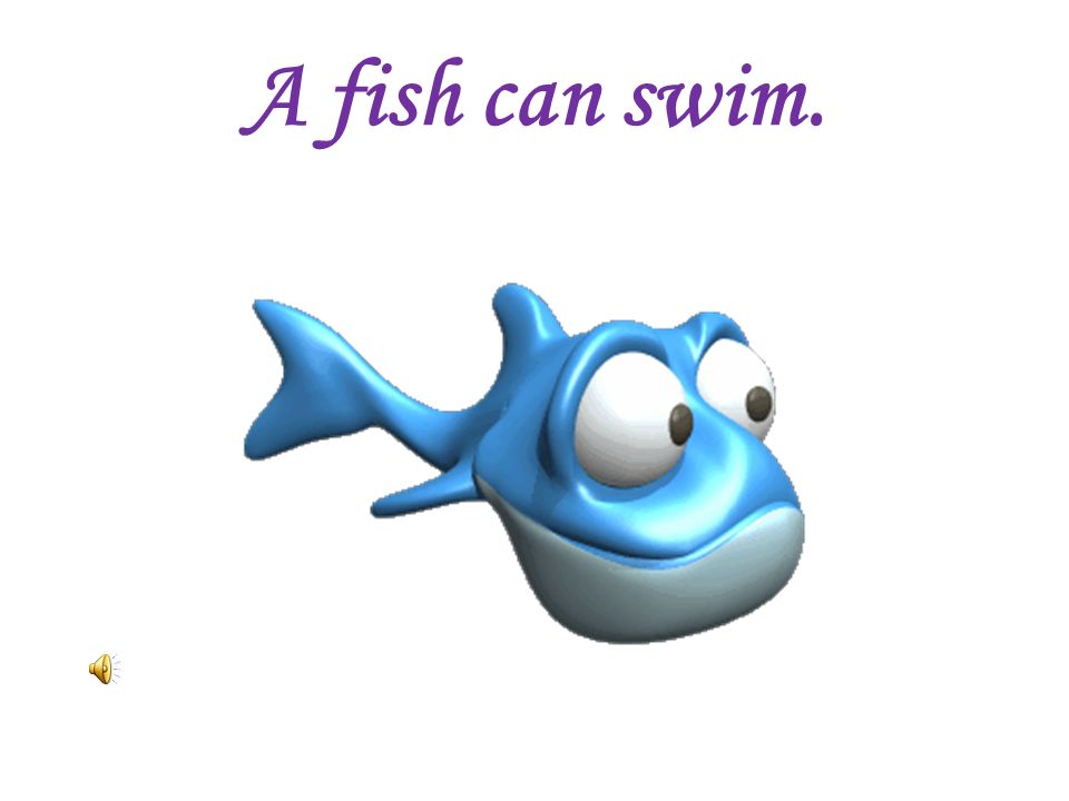 Слово fish swim