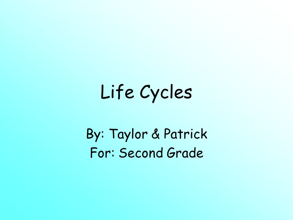 Life Cycles By: Taylor & Patrick For: Second Grade