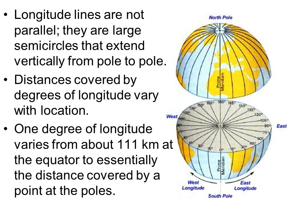 Longitude lines are not parallel; they are large semicircles that extend vertically from pole to pole.