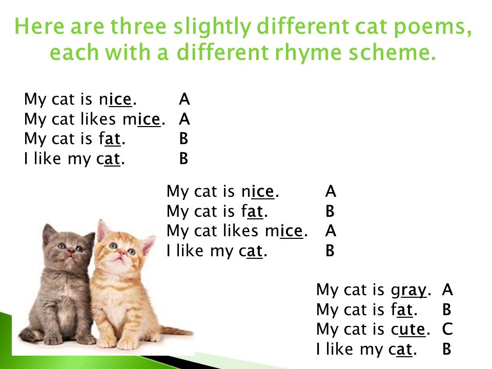 It s my cat. Cat poem for Kids. Poems about Cats. My Cat poems. Cats poem.