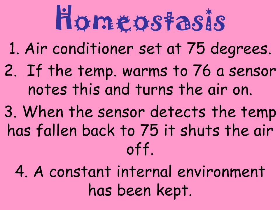 Homeostasis 1. Air conditioner set at 75 degrees.