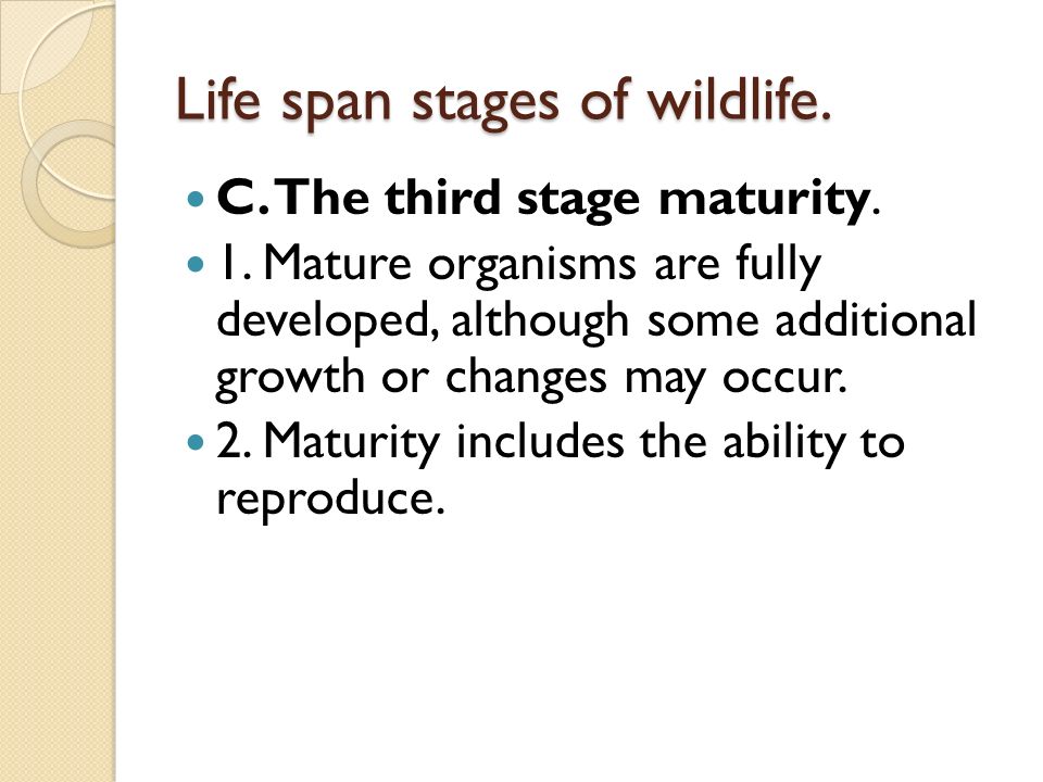Life span stages of wildlife. C. The third stage maturity.