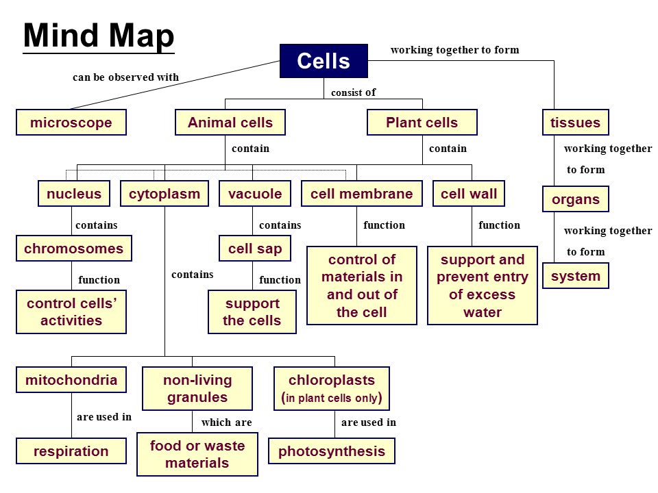 Mind Map Cell Structure And Function Mind Map Act As Chemical Substances Found In The Organisms Act As Make Up  Importance Play Important Roles In Organic Substances Carbohydrates 1.  Fuels. - Ppt Download