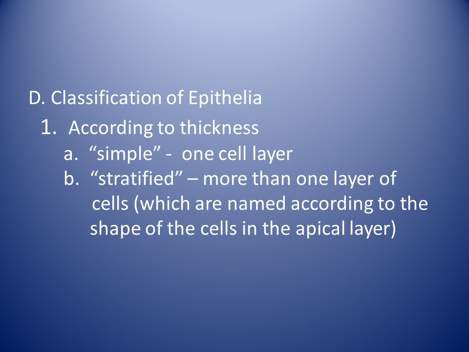 D. Classification of Epithelia 1. According to thickness a.