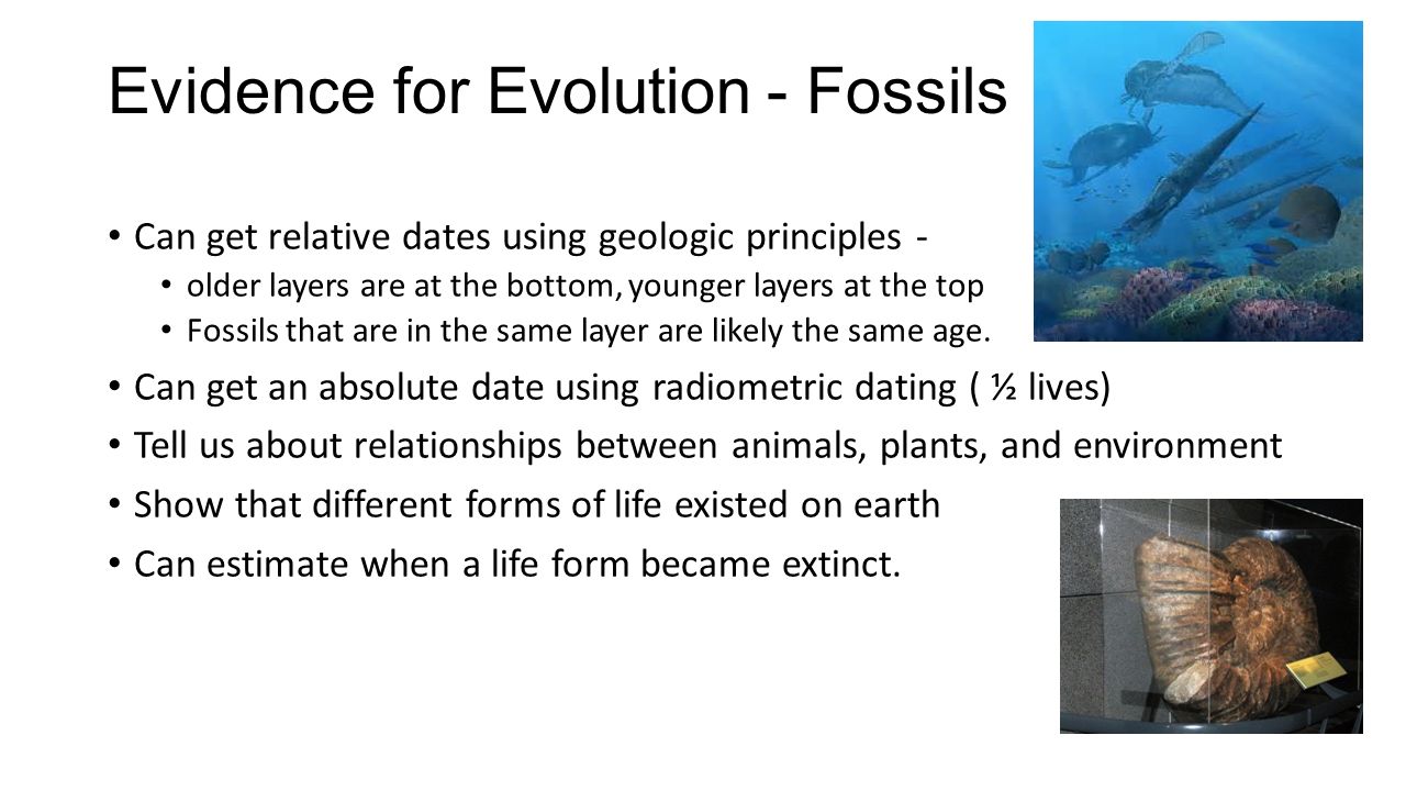 Dating evidence for evolution