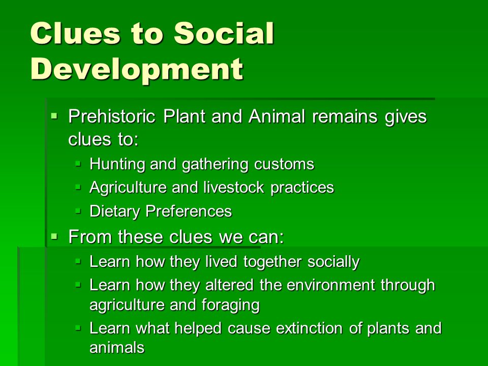 Clues to Social Development  Prehistoric Plant and Animal remains gives clues to:  Hunting and gathering customs  Agriculture and livestock practices  Dietary Preferences  From these clues we can:  Learn how they lived together socially  Learn how they altered the environment through agriculture and foraging  Learn what helped cause extinction of plants and animals