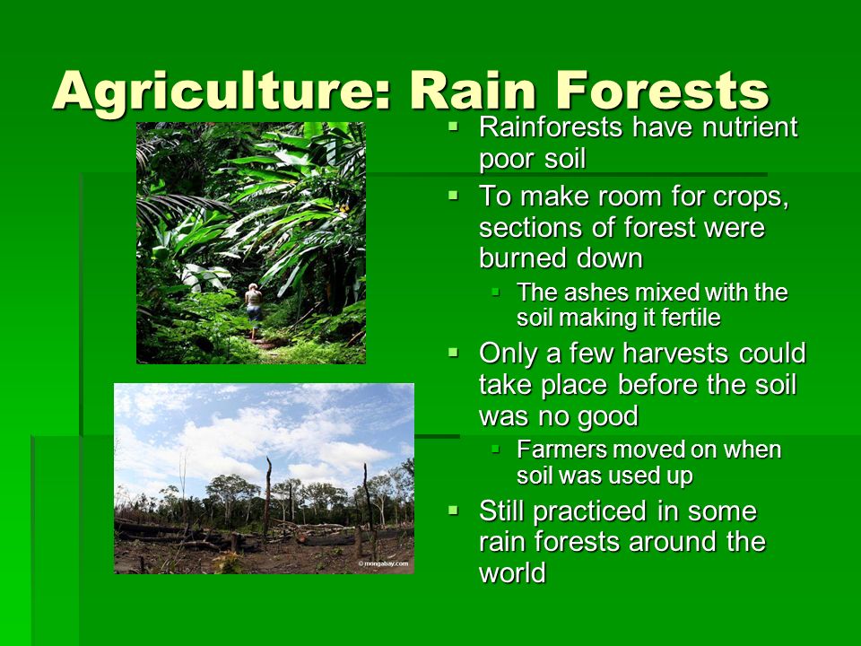 Agriculture: Rain Forests  Rainforests have nutrient poor soil  To make room for crops, sections of forest were burned down  The ashes mixed with the soil making it fertile  Only a few harvests could take place before the soil was no good  Farmers moved on when soil was used up  Still practiced in some rain forests around the world