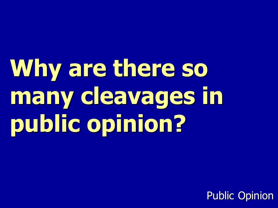 Why are there so many cleavages in public opinion Public Opinion