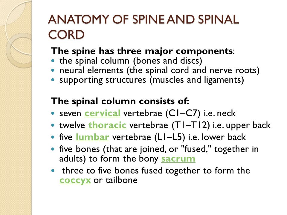 ACUTE SPINAL CORD LESSION MEITI FRIDA DEPARTMENT OF NEUROLOGY FACULTY ...