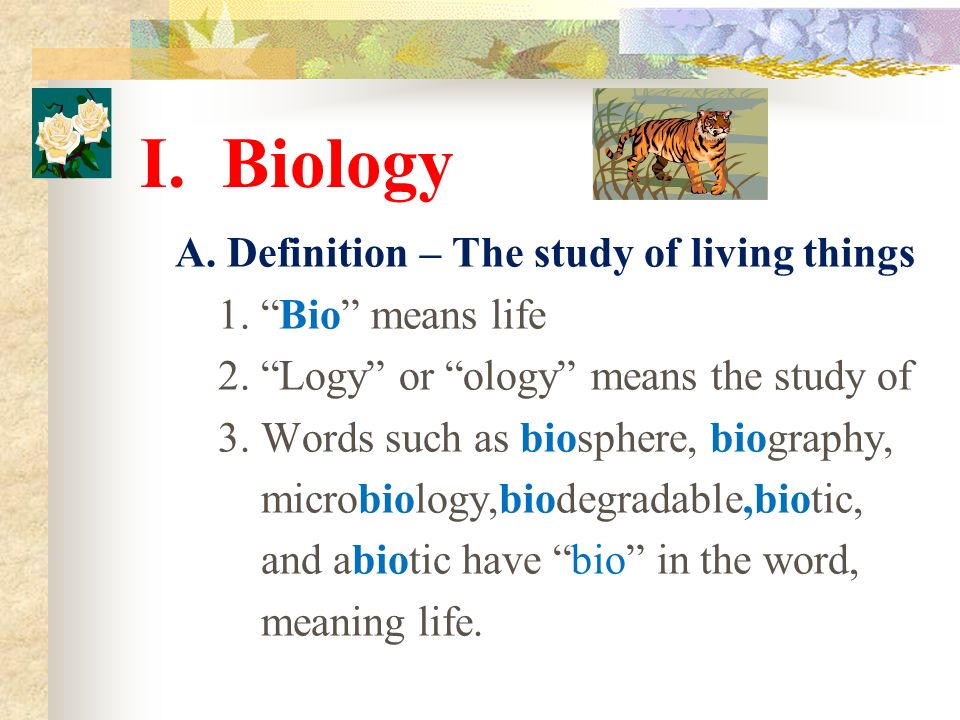 Biology and Ecology Mrs. Cunningham Curriculum Highlights *  Microscope/Equipment  Cells and cell processes  Chemistry of life   Genetics  Adaptations. - ppt download