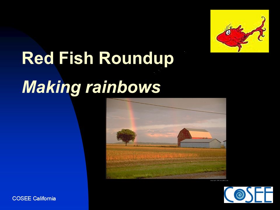 COSEE California Red Fish Roundup Making rainbows