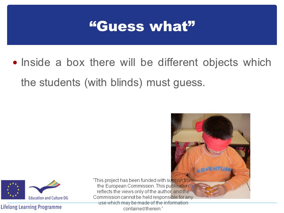 Guess what Inside a box there will be different objects which the students (with blinds) must guess.