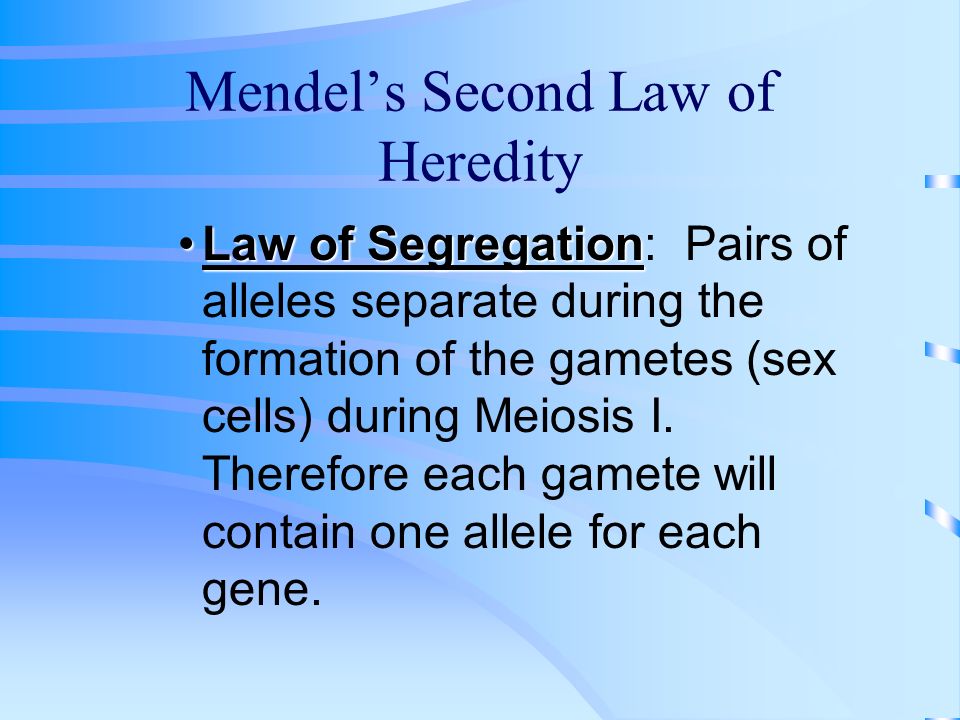Mendel’s First Law of Heredity Law of DominanceLaw of Dominance: When a trait is Completely Dominant over another trait, then that dominant allele controls the gene pair.