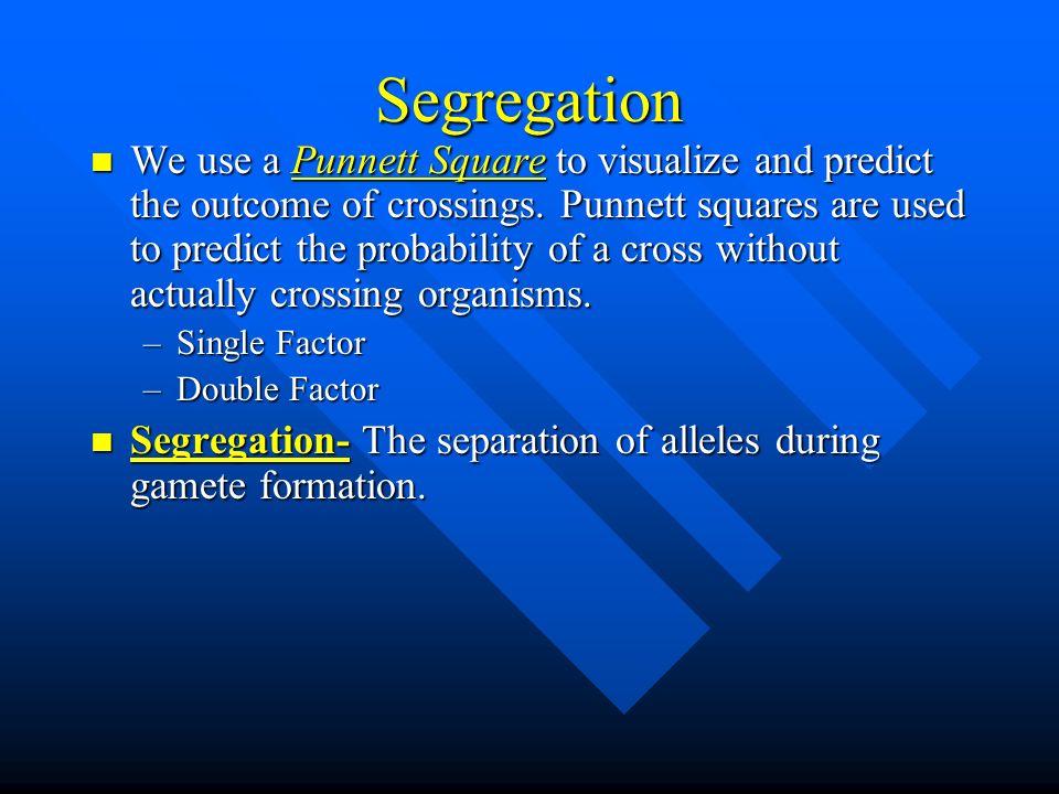 Segregation We use a Punnett Square to visualize and predict the outcome of crossings.