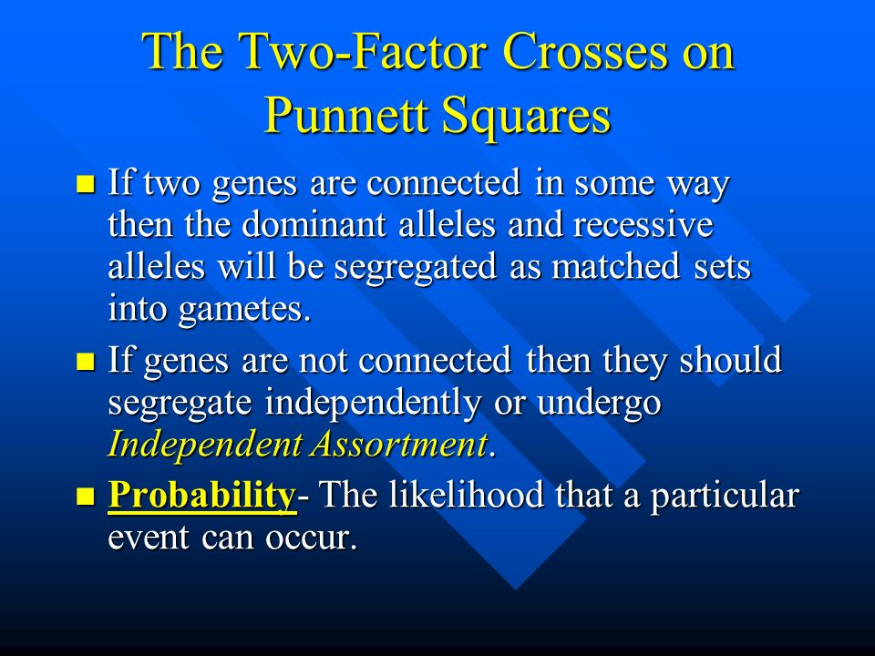 The Two-Factor Crosses on Punnett Squares If two genes are connected in some way then the dominant alleles and recessive alleles will be segregated as matched sets into gametes.