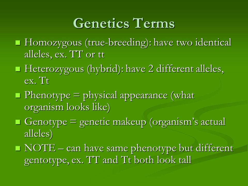 Genetics Terms Homozygous (true-breeding): have two identical alleles, ex.