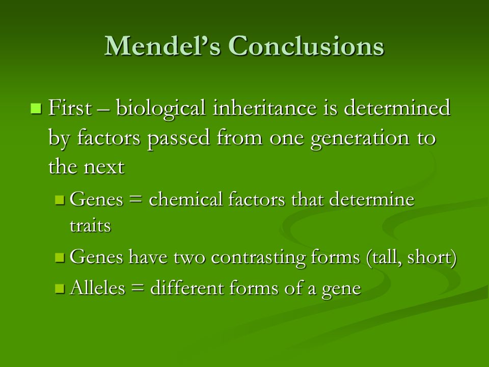 Mendel’s Conclusions First – biological inheritance is determined by factors passed from one generation to the next First – biological inheritance is determined by factors passed from one generation to the next Genes = chemical factors that determine traits Genes = chemical factors that determine traits Genes have two contrasting forms (tall, short) Genes have two contrasting forms (tall, short) Alleles = different forms of a gene Alleles = different forms of a gene