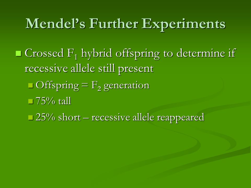 Mendel’s Further Experiments Crossed F 1 hybrid offspring to determine if recessive allele still present Crossed F 1 hybrid offspring to determine if recessive allele still present Offspring = F 2 generation Offspring = F 2 generation 75% tall 75% tall 25% short – recessive allele reappeared 25% short – recessive allele reappeared