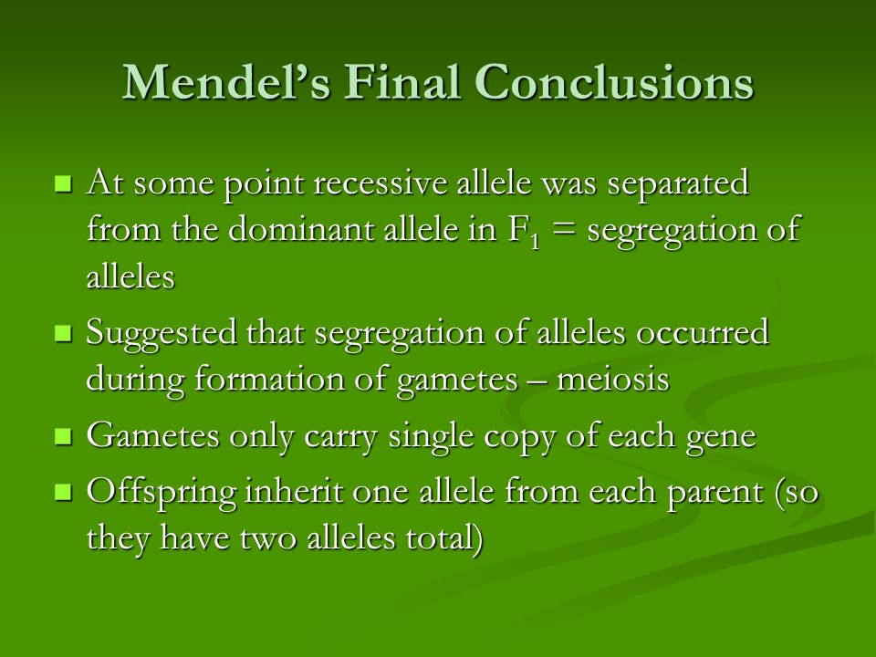 Mendel’s Final Conclusions At some point recessive allele was separated from the dominant allele in F 1 = segregation of alleles At some point recessive allele was separated from the dominant allele in F 1 = segregation of alleles Suggested that segregation of alleles occurred during formation of gametes – meiosis Suggested that segregation of alleles occurred during formation of gametes – meiosis Gametes only carry single copy of each gene Gametes only carry single copy of each gene Offspring inherit one allele from each parent (so they have two alleles total) Offspring inherit one allele from each parent (so they have two alleles total)