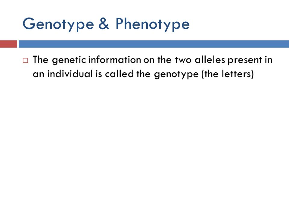 Genotype & Phenotype  The genetic information on the two alleles present in an individual is called the genotype (the letters)
