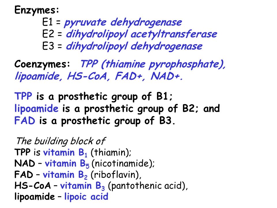 OXIDATIVE DECARBOXYLATION OF PYRUVATE Matrix of the mitochondria contains  pyruvate dehydrogenase complex. - ppt download