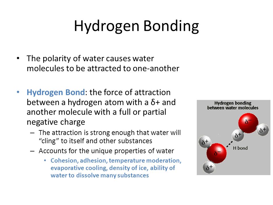 Properties Of Water Polarity Many Of Water S Biological Functions Stem From Its Chemical Structure Water Is A Polar Molecule It Has Unequal Charge Ppt Download