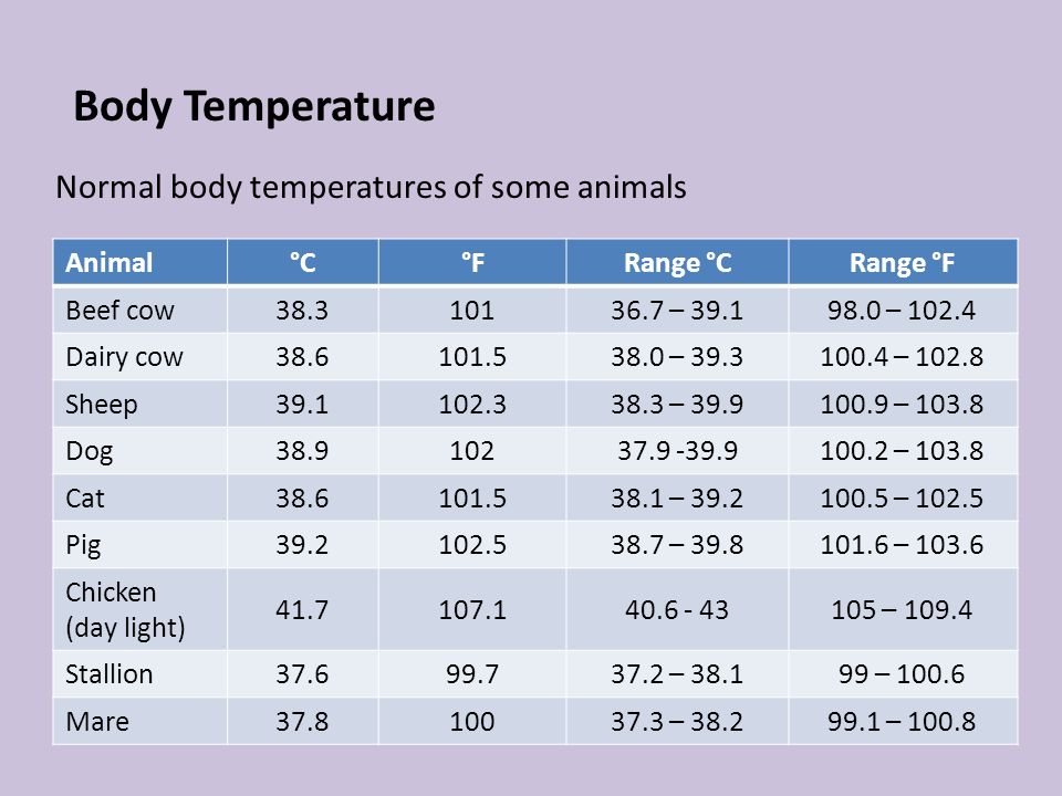 Body Temperature and Heat Regulation Dr Than Kyaw 23 Oct ppt download