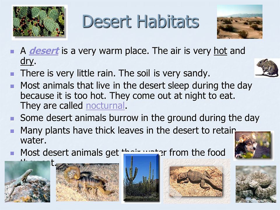 Habitats. What is a habitat ? Every animal has a habitat. The place where  an animal or plant lives and grows is called its habitat. A habitat is  where. - ppt download