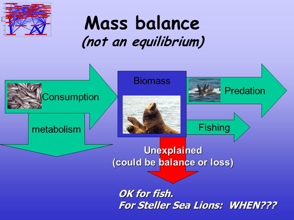 Ecopath and Ecosim in the Eastern Bering Sea An evaluation focusing on