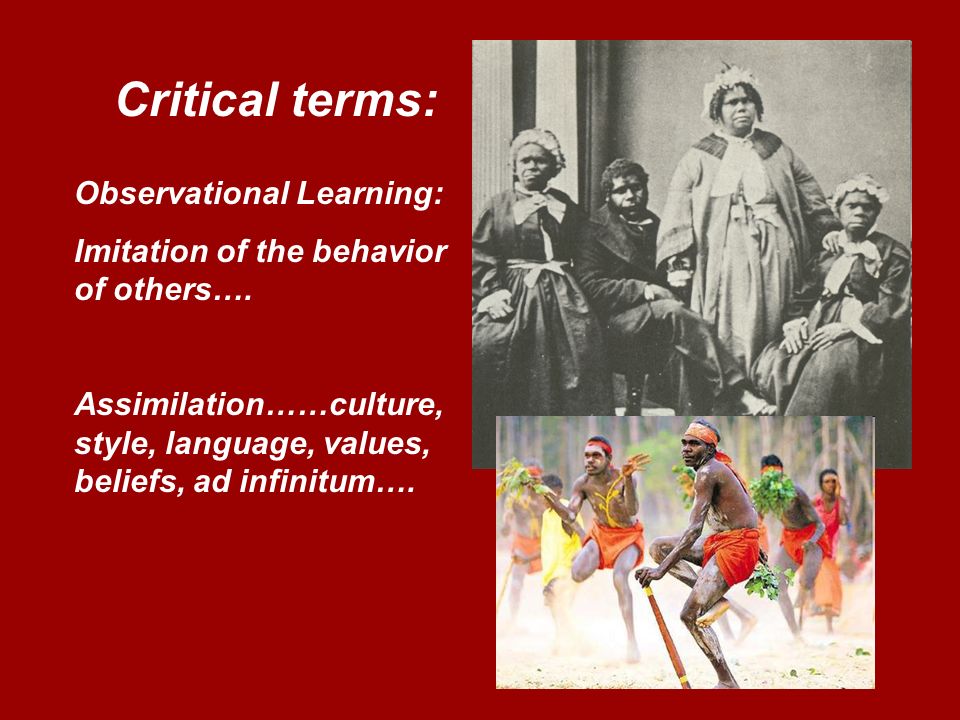 Critical terms: Observational Learning: Imitation of the behavior of others….