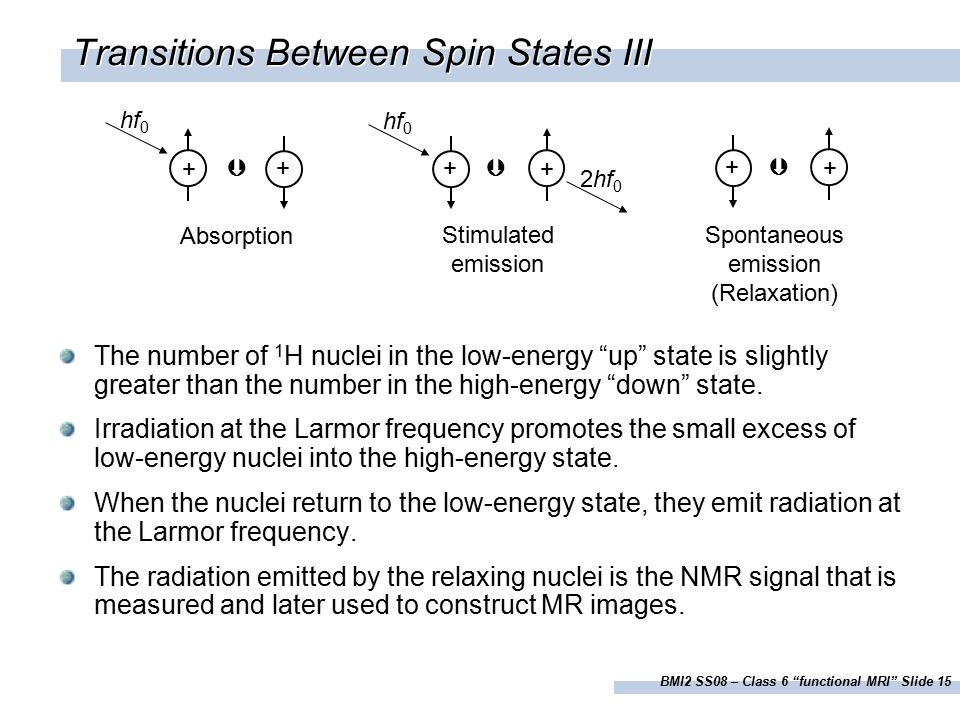 BMI2 SS08 – Class 6 functional MRI Slide 15 Transitions Between Spin States III The number of 1 H nuclei in the low-energy up state is slightly greater than the number in the high-energy down state.