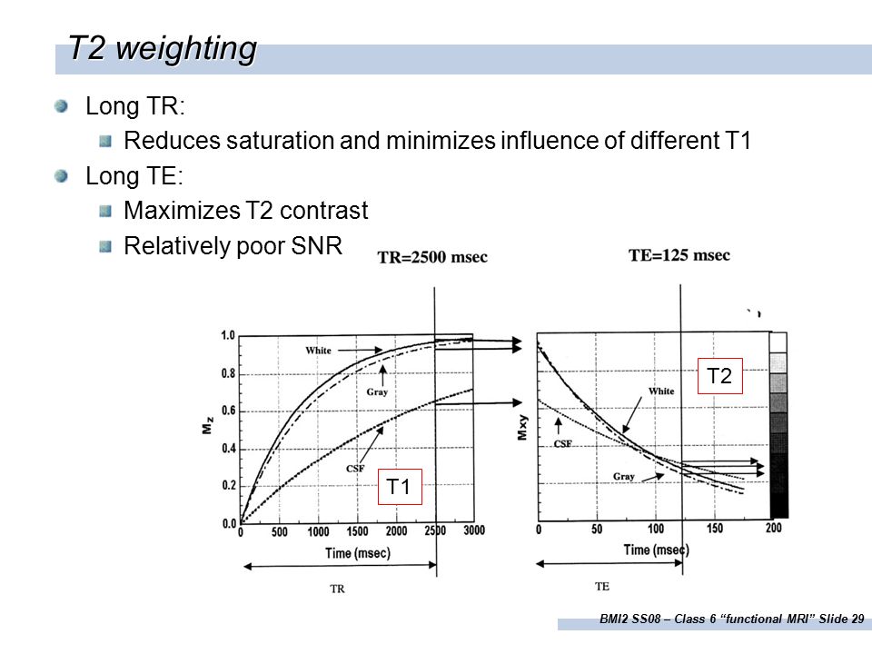 BMI2 SS08 – Class 6 functional MRI Slide 29 T1 T2 T2 weighting Long TR: Reduces saturation and minimizes influence of different T1 Long TE: Maximizes T2 contrast Relatively poor SNR