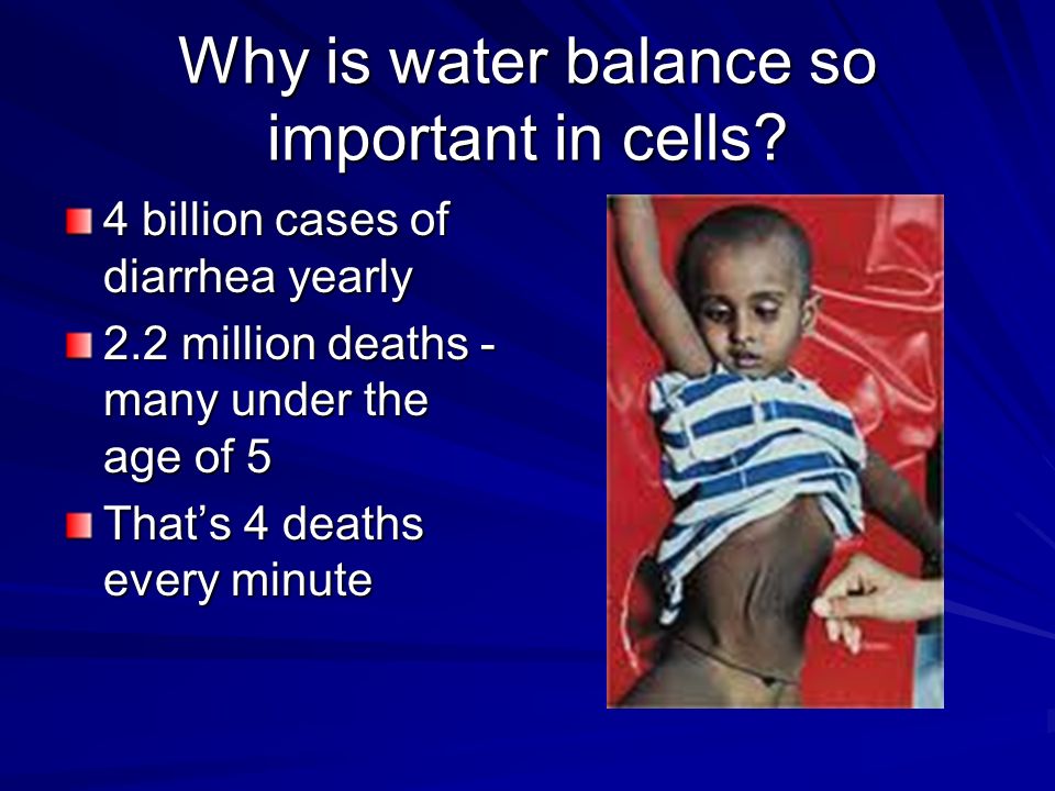 why is water important to a cell
