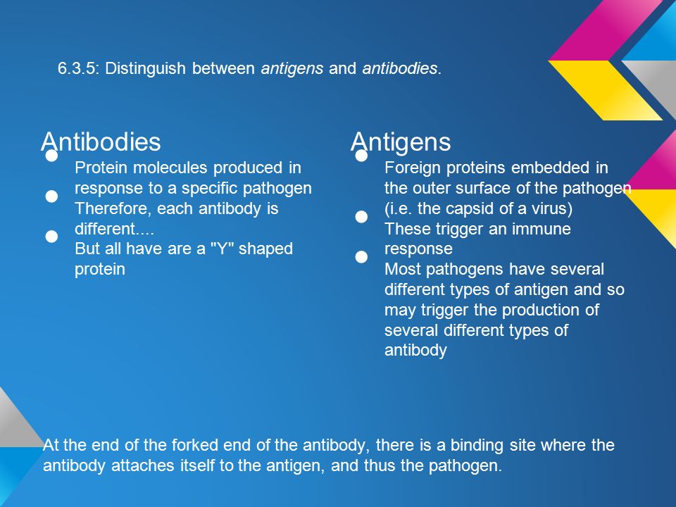 6.3.5: Distinguish between antigens and antibodies.