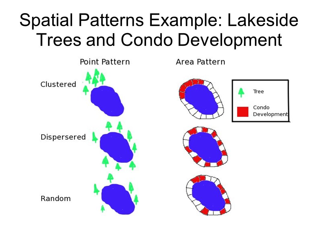 Spatial Patterns Example: Lakeside Trees and Condo Development